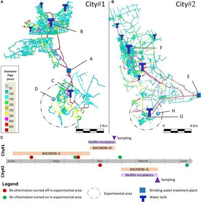 Reduced Chlorine in Drinking Water Distribution Systems Impacts Bacterial Biodiversity in Biofilms